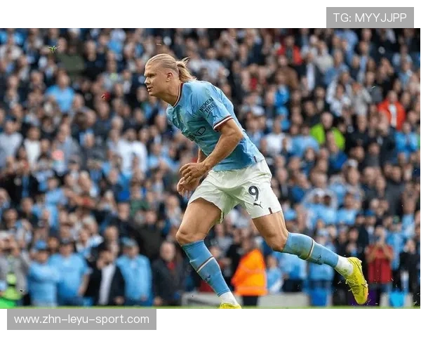 世界杯哈兰德远射世界波锁定胜利