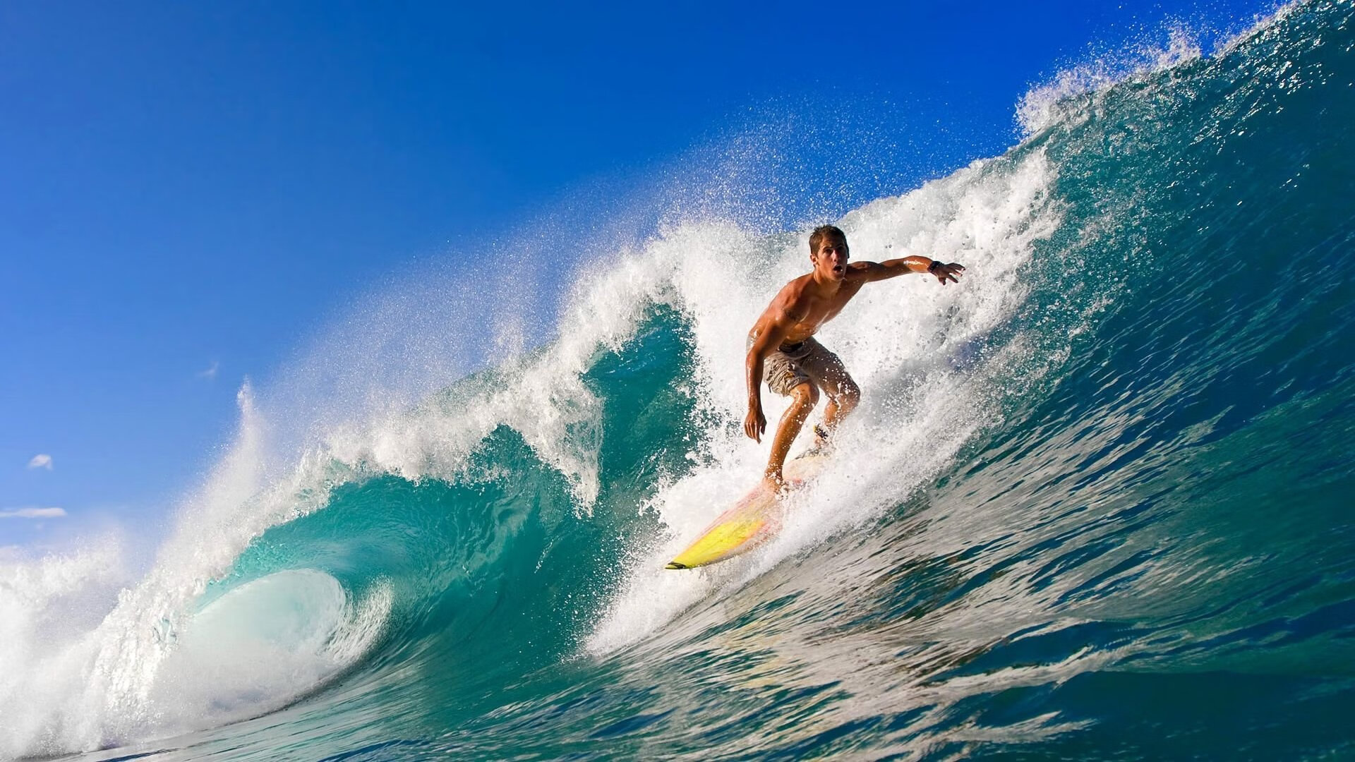 国际足球赛事的媒体传播策略被业界评为示范,足球媒介